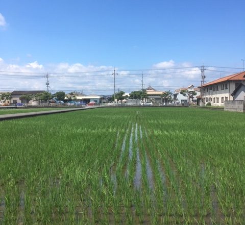 青空